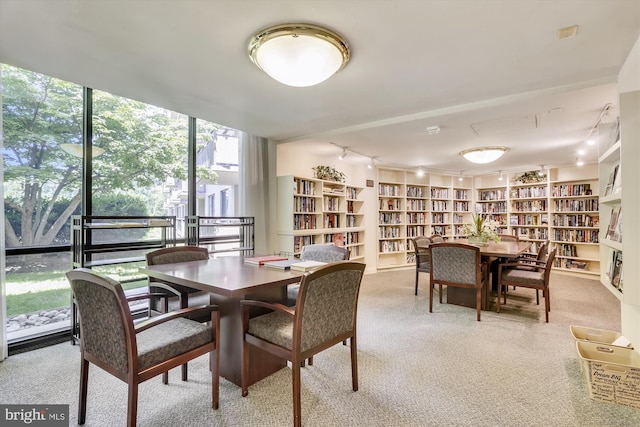 dining space featuring expansive windows, rail lighting, and light carpet