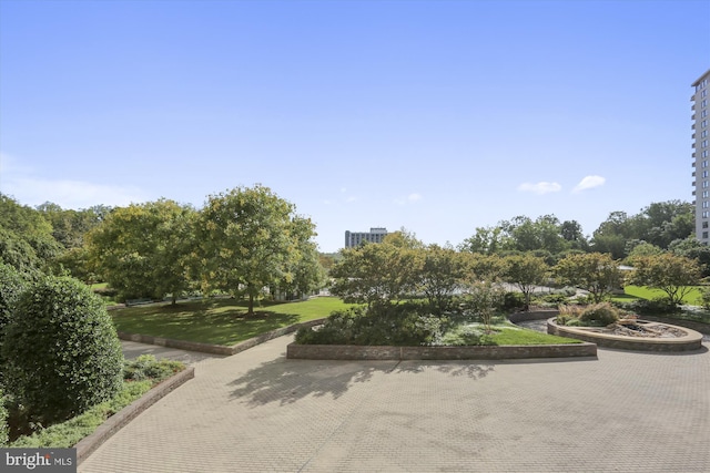 view of property's community featuring a yard