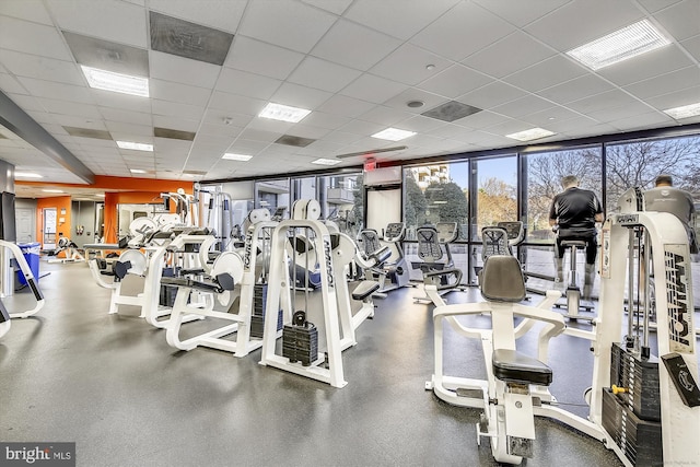 gym featuring a drop ceiling and floor to ceiling windows