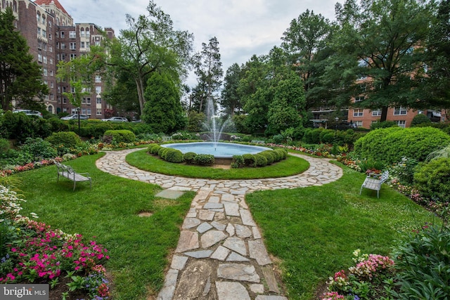 view of property's community with a lawn