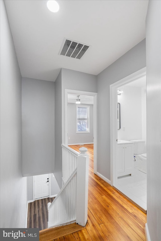 hallway featuring wood-type flooring