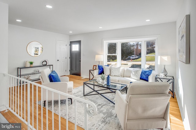 living room featuring light hardwood / wood-style floors and a healthy amount of sunlight