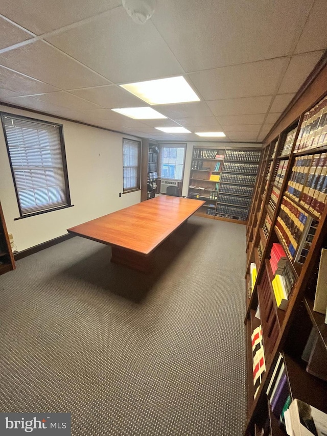 interior space featuring carpet and a drop ceiling