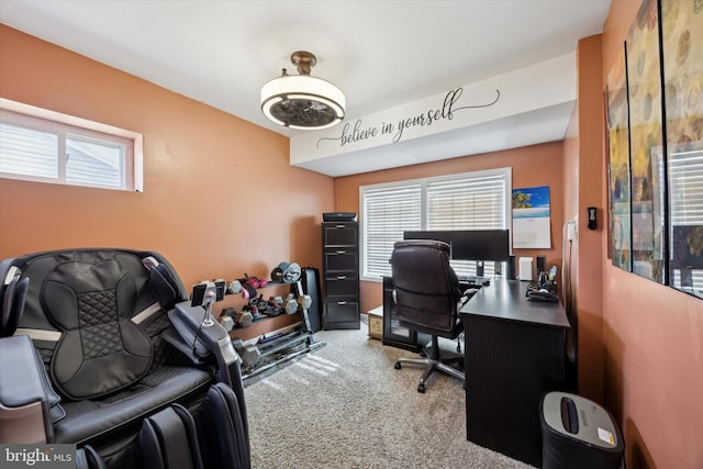 office featuring carpet flooring and plenty of natural light