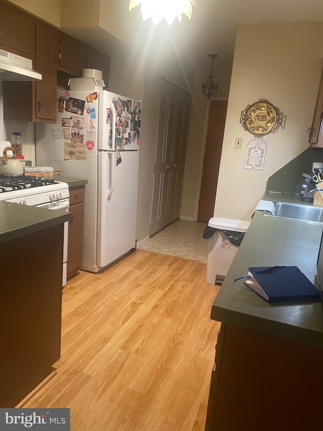 kitchen with dark brown cabinetry, white appliances, sink, and light hardwood / wood-style flooring