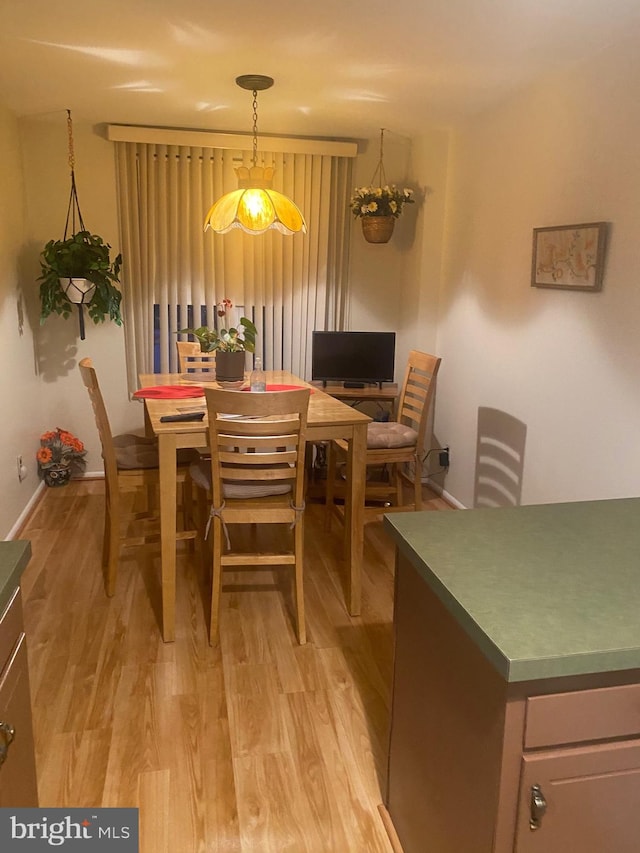 dining room featuring light wood-type flooring