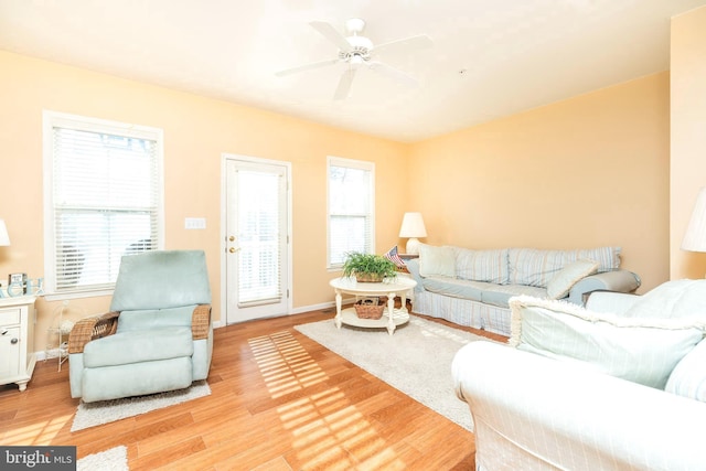 living room with ceiling fan, light hardwood / wood-style flooring, and plenty of natural light