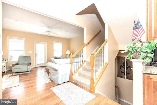 staircase featuring ceiling fan and hardwood / wood-style floors