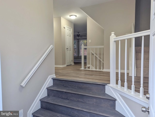 stairway with ceiling fan and wood-type flooring