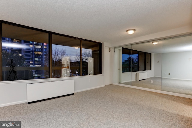 spare room with carpet and a textured ceiling