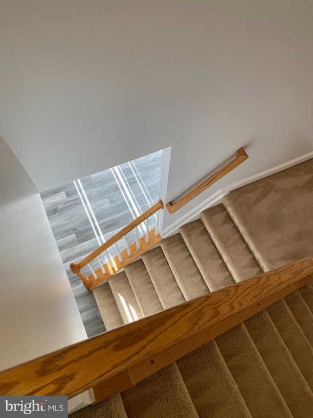 stairway featuring carpet flooring