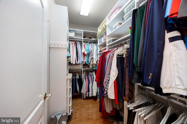 walk in closet with hardwood / wood-style floors