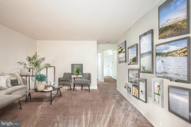 living area featuring carpet floors