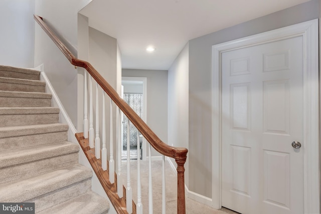 stairway featuring carpet