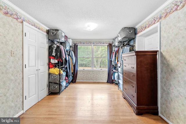 walk in closet with light wood-type flooring