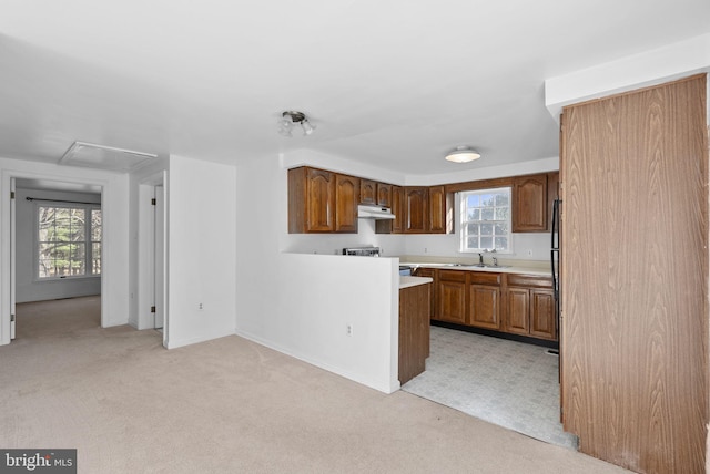 kitchen featuring stainless steel electric range, light colored carpet, and sink