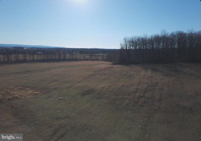 view of yard with a rural view