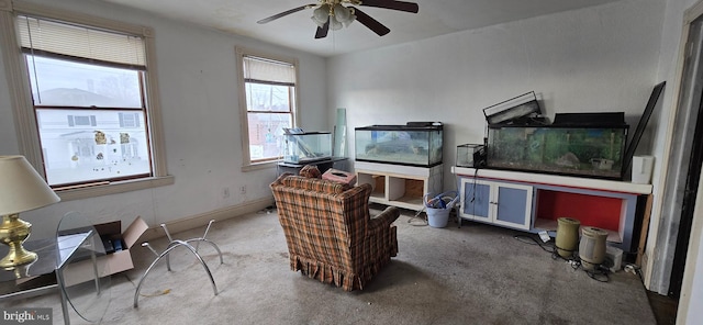 office with carpet flooring and ceiling fan