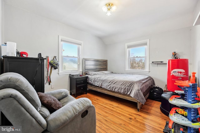 bedroom featuring lofted ceiling and wood-type flooring