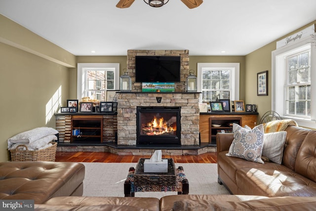 living room featuring wood-type flooring, plenty of natural light, and a fireplace