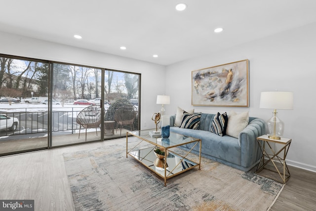 living room featuring wood-type flooring