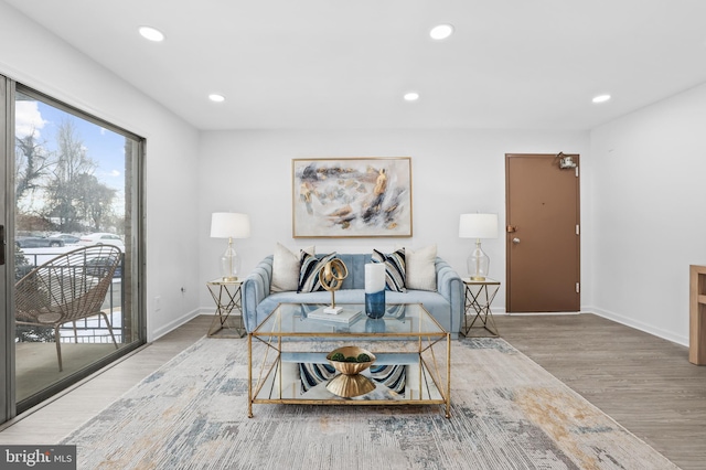 living room with hardwood / wood-style floors