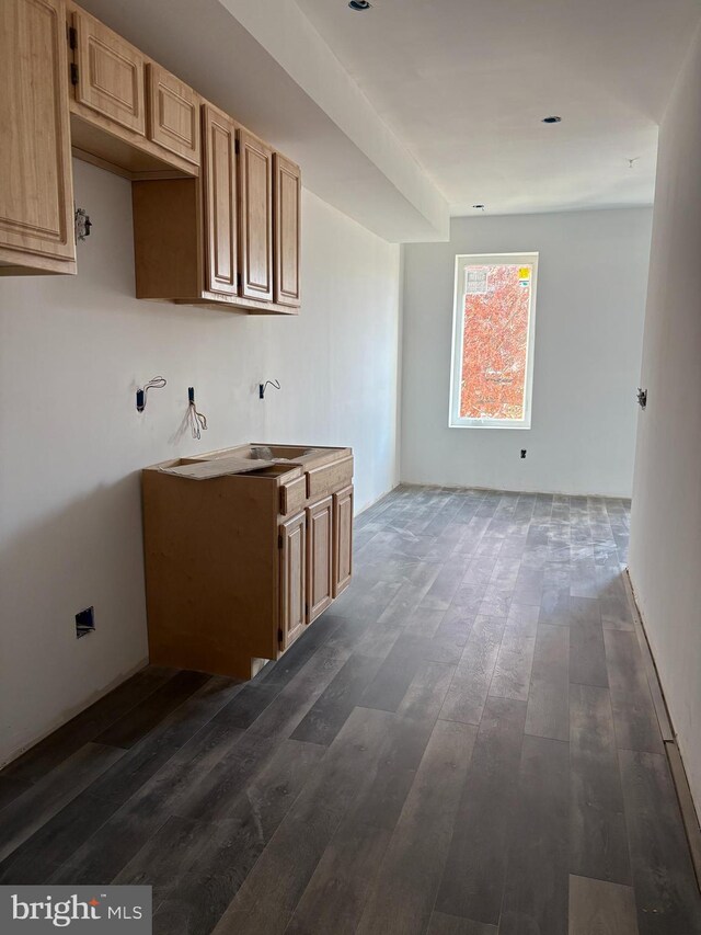 kitchen featuring light brown cabinets, dark wood-type flooring, and sink