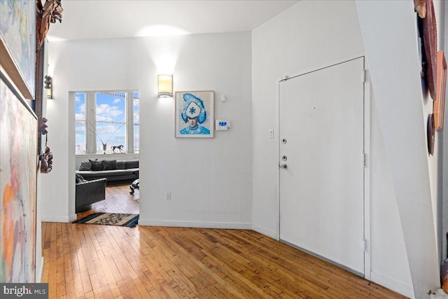 entryway featuring wood-type flooring