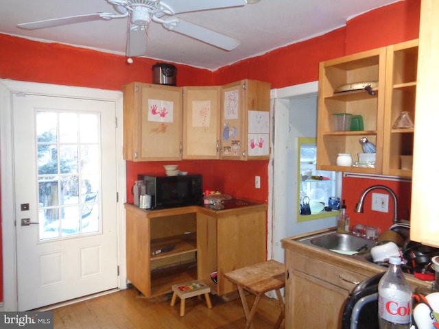 kitchen featuring ceiling fan, light hardwood / wood-style floors, and sink