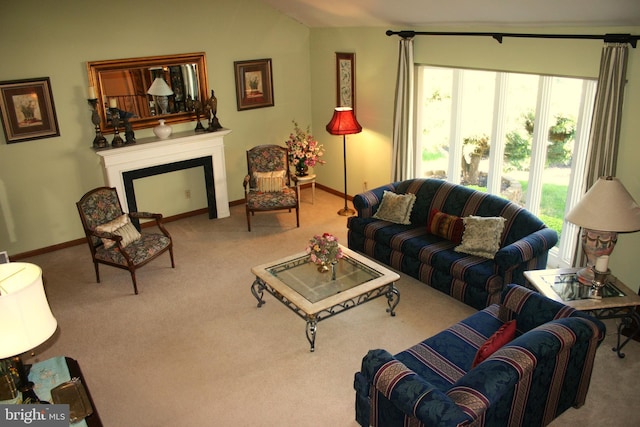 living room featuring carpet flooring