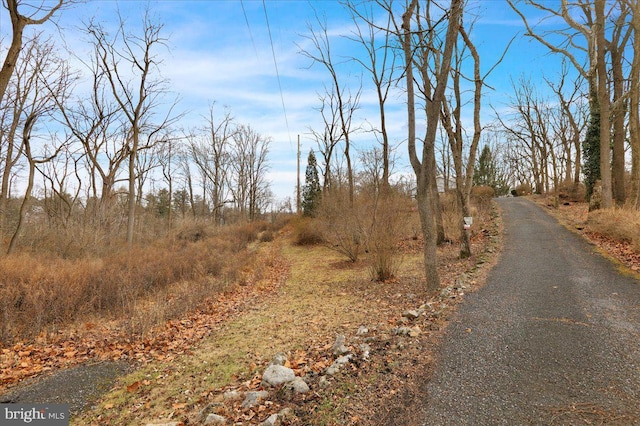 view of road