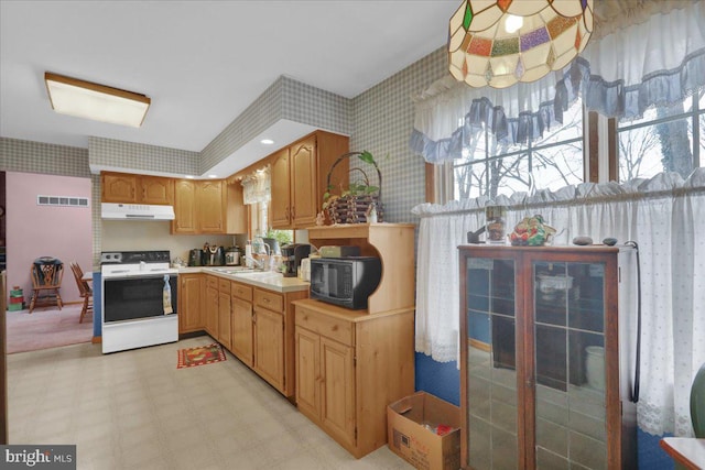 kitchen with sink and white stove