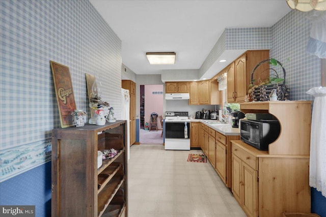 kitchen with white stove and sink