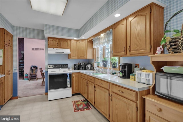 kitchen with white range with electric stovetop and sink