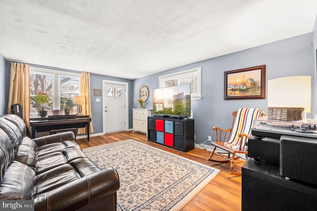 living room featuring hardwood / wood-style floors