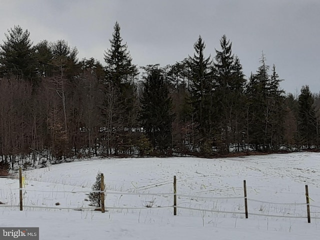 view of yard covered in snow