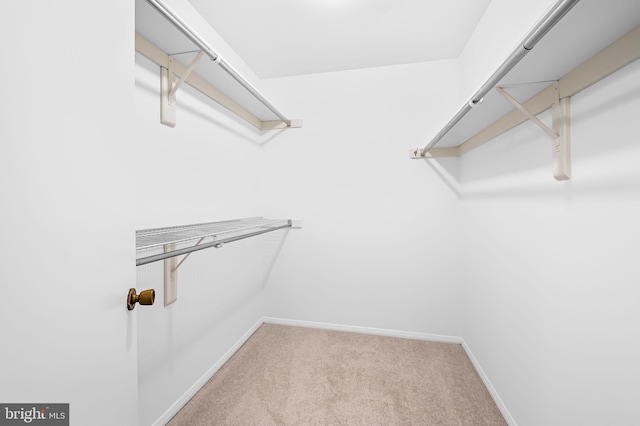 spacious closet with light colored carpet