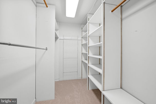 spacious closet featuring light colored carpet