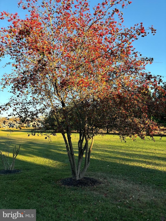 136 Sandpiper Ln, West Deptford, NJ 08086 - view of community featuring a lawn