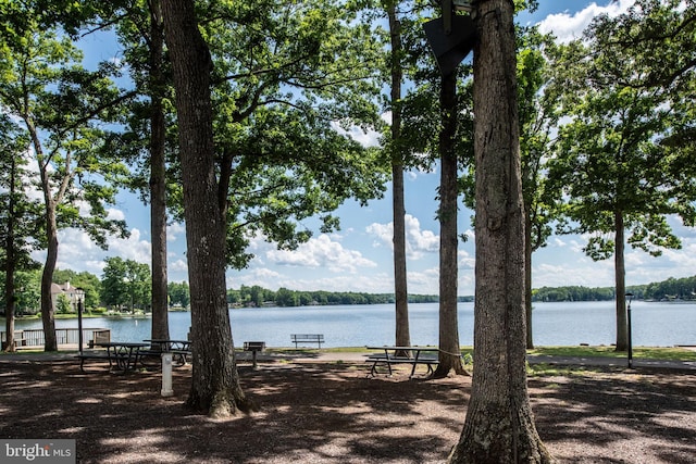 property view of water