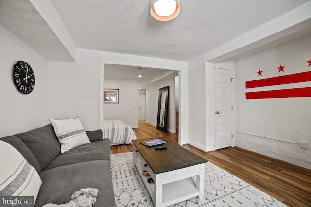 living room with hardwood / wood-style flooring