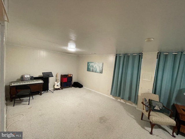 miscellaneous room featuring carpet floors