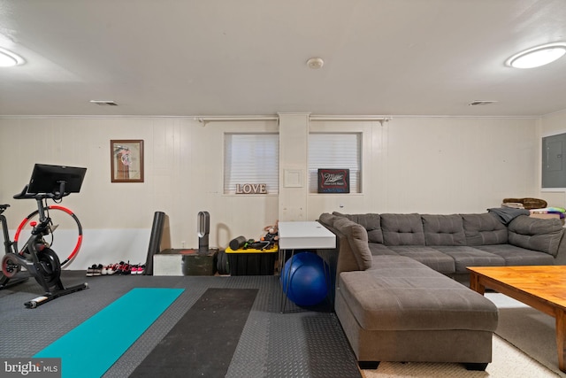 exercise room featuring crown molding, carpet floors, and electric panel