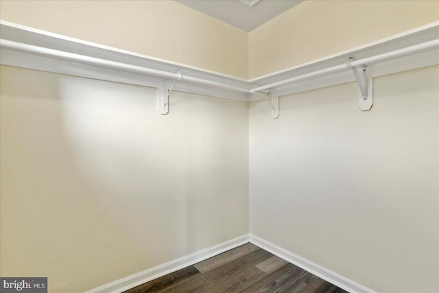 spacious closet featuring wood-type flooring