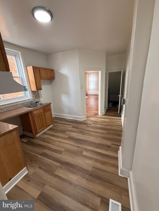 kitchen featuring tasteful backsplash, dark hardwood / wood-style flooring, and sink