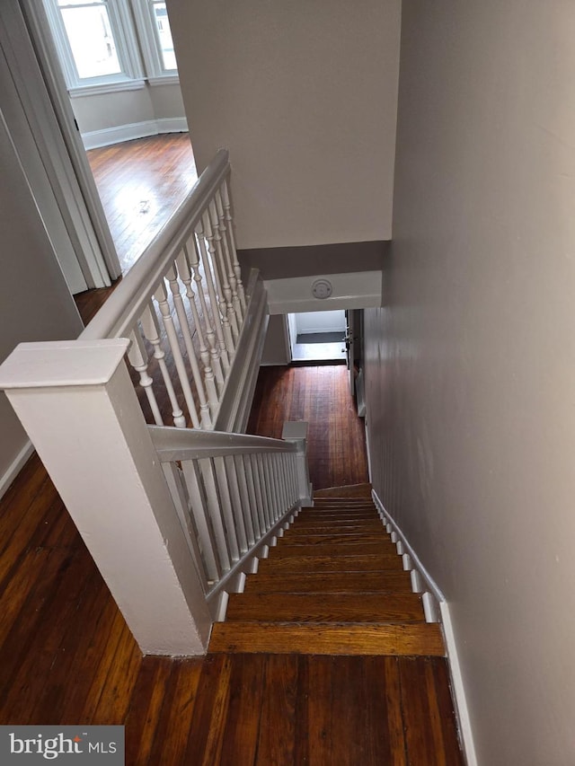 stairs with hardwood / wood-style flooring