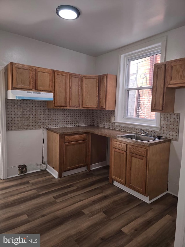 kitchen with dark hardwood / wood-style flooring and sink