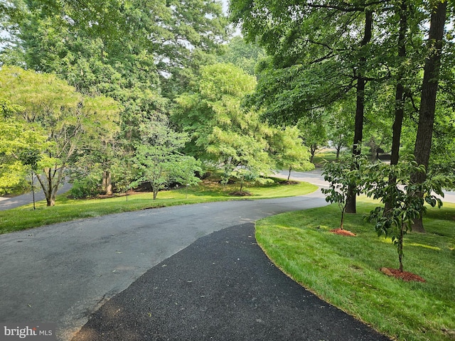 view of road