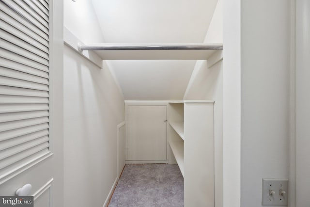 walk in closet with light colored carpet