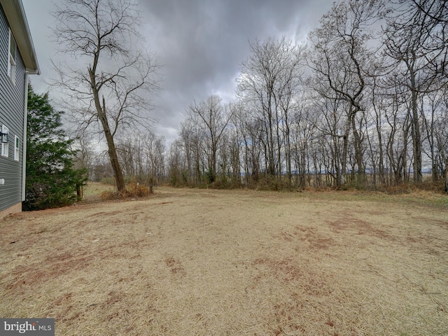 12544 Woodsboro Pike, Keymar, MD 21757 - view of yard